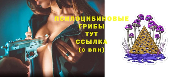спиды Алексин