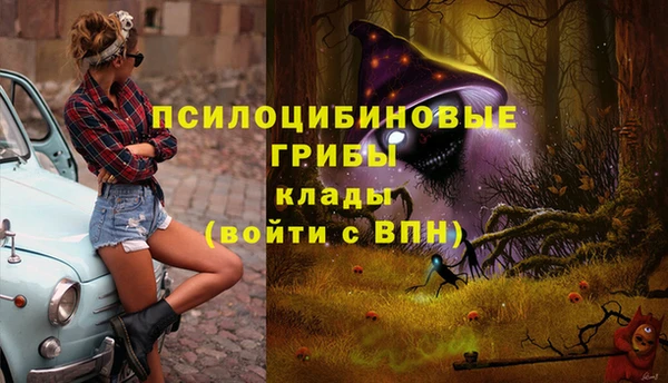 метадон Армянск