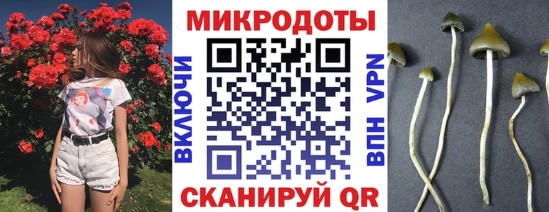 hydra   закладка  Всеволожск  Галлюциногенные грибы мицелий 