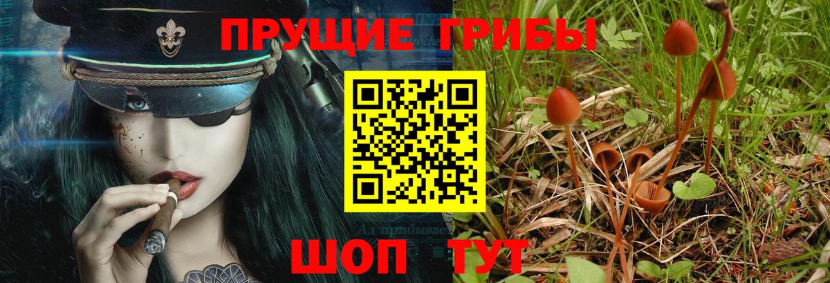что такое   Псилоцибиновые грибы Magic Shrooms  Галлюциногенные грибы ЛСД  Вход с VPN  Всеволожск 
